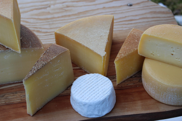 Neustart Hauslieferdienst